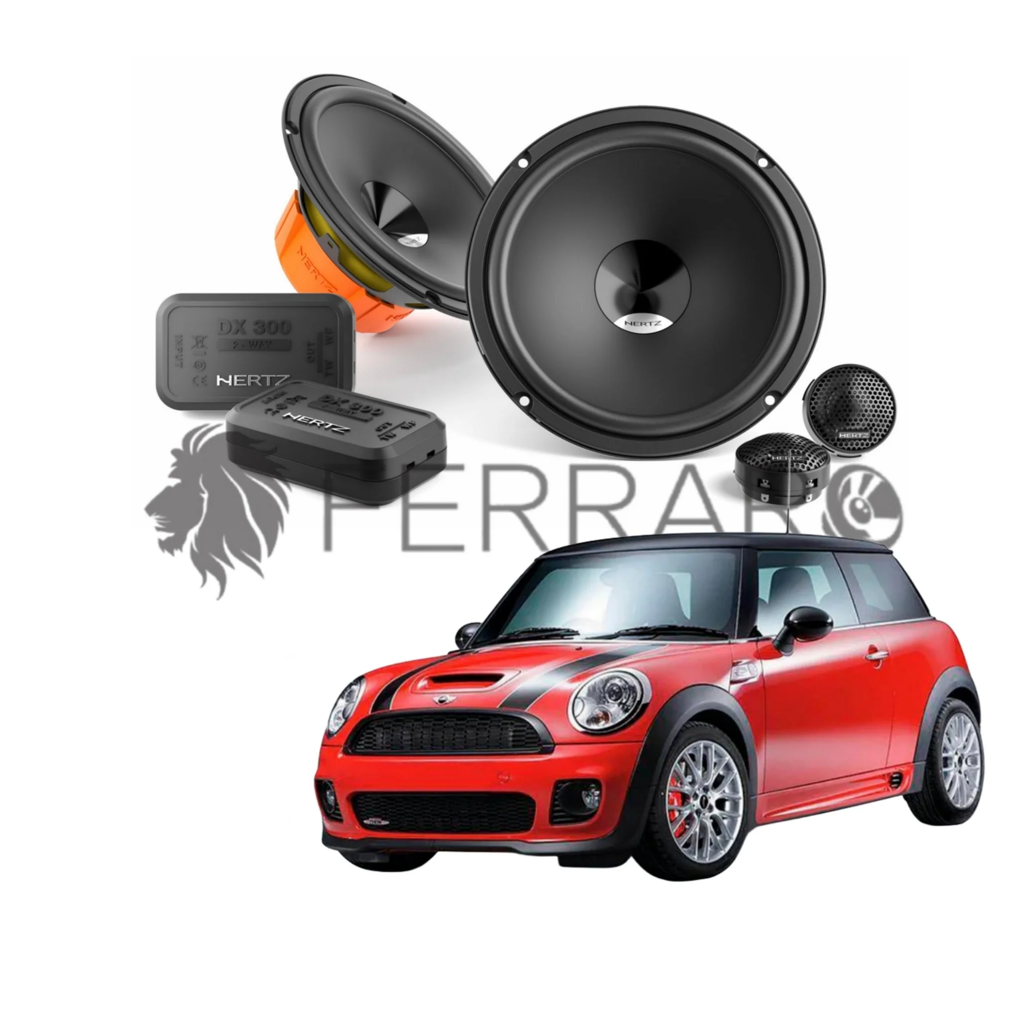 Miniatura 1