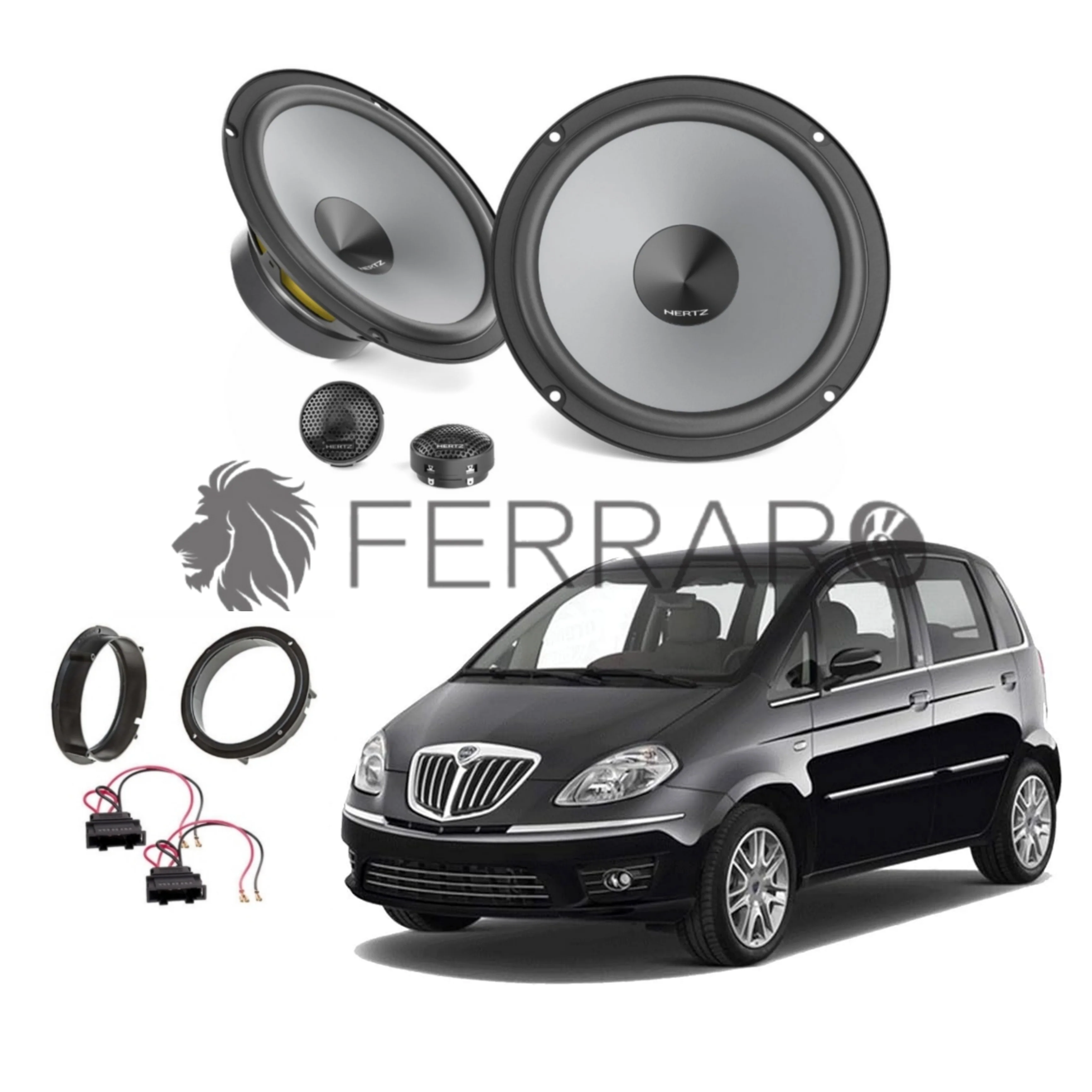 Miniatura 1